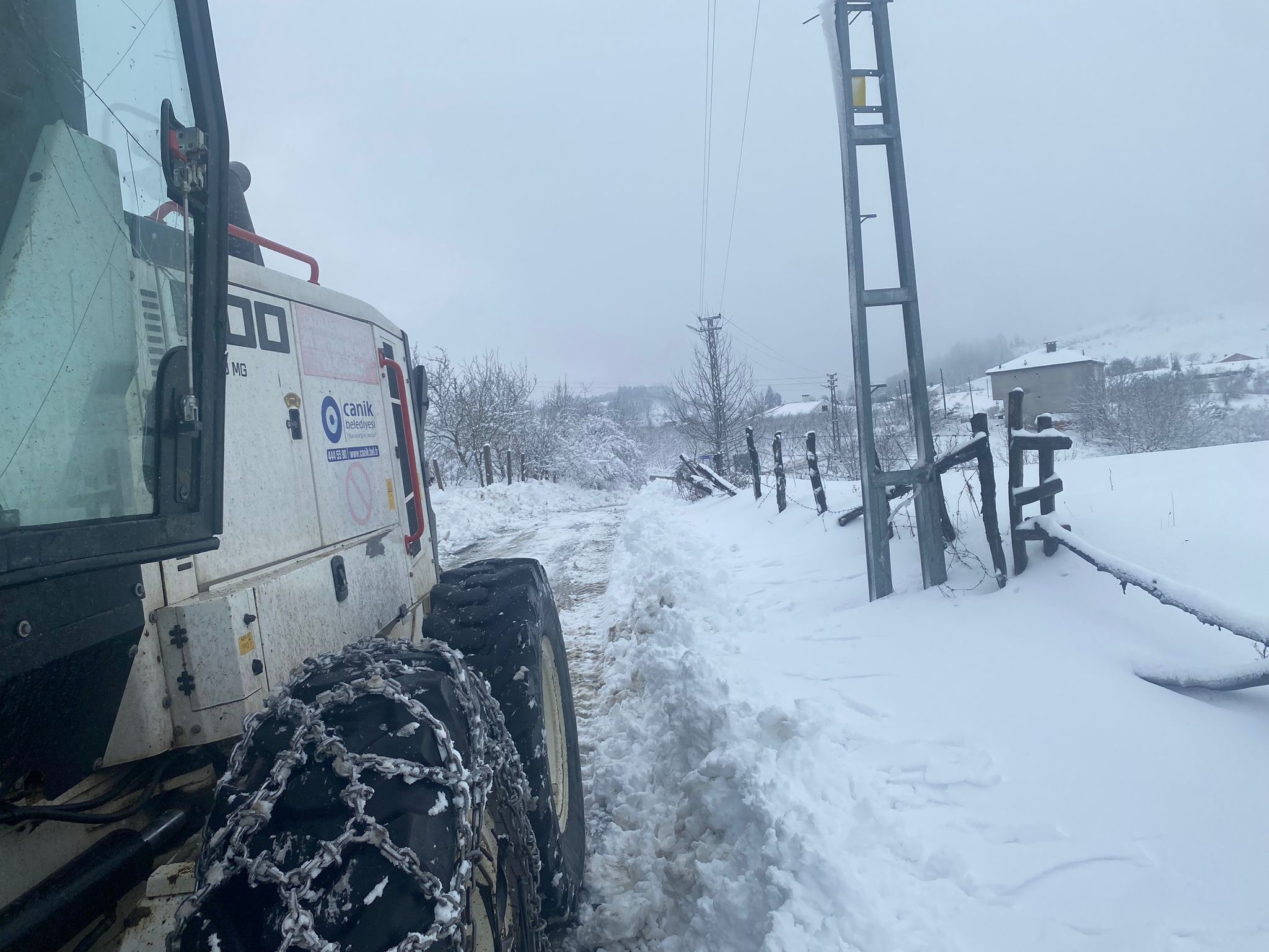 H C Pyy D L W E A A Dzg E