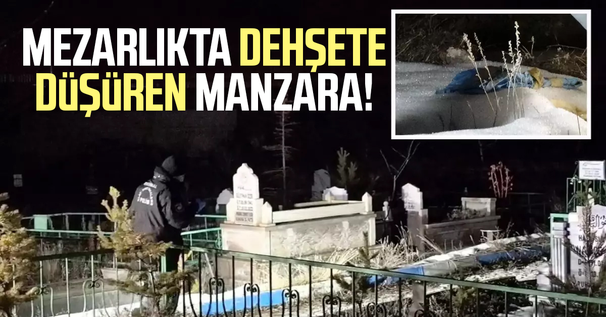 Mezarlıkta dehşete düşüren manzara: Poşete sarılı bulundu