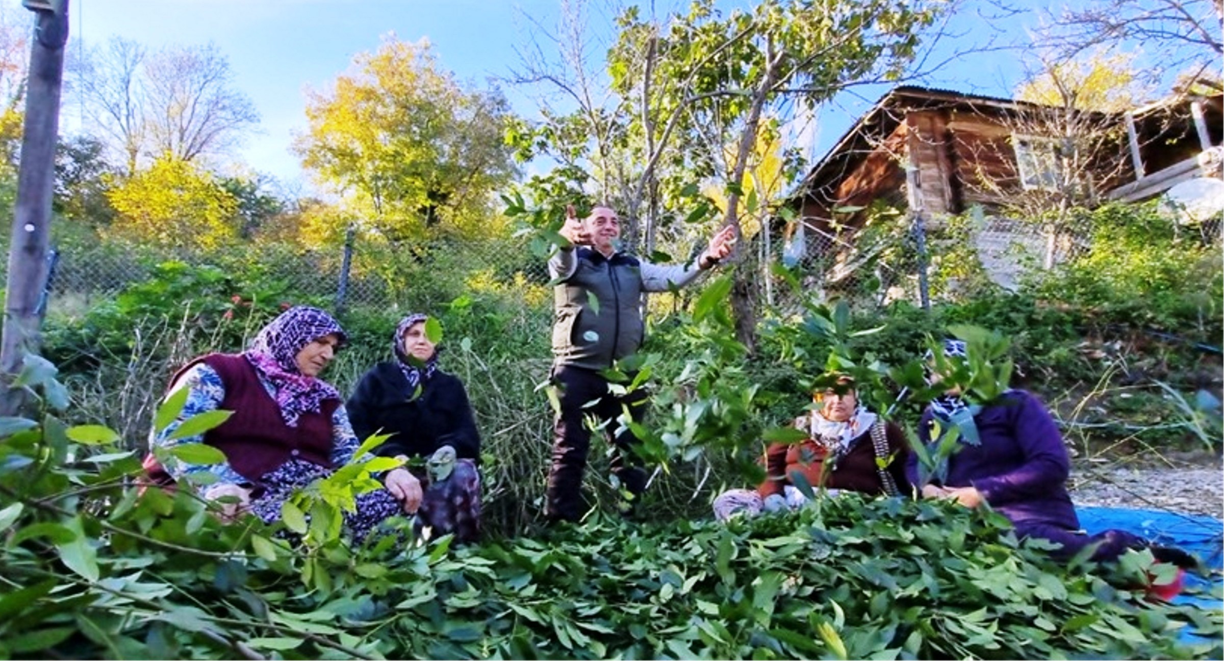 Orman Köylüsü Ekmeğini Topraktan Çıkartıyor (1)