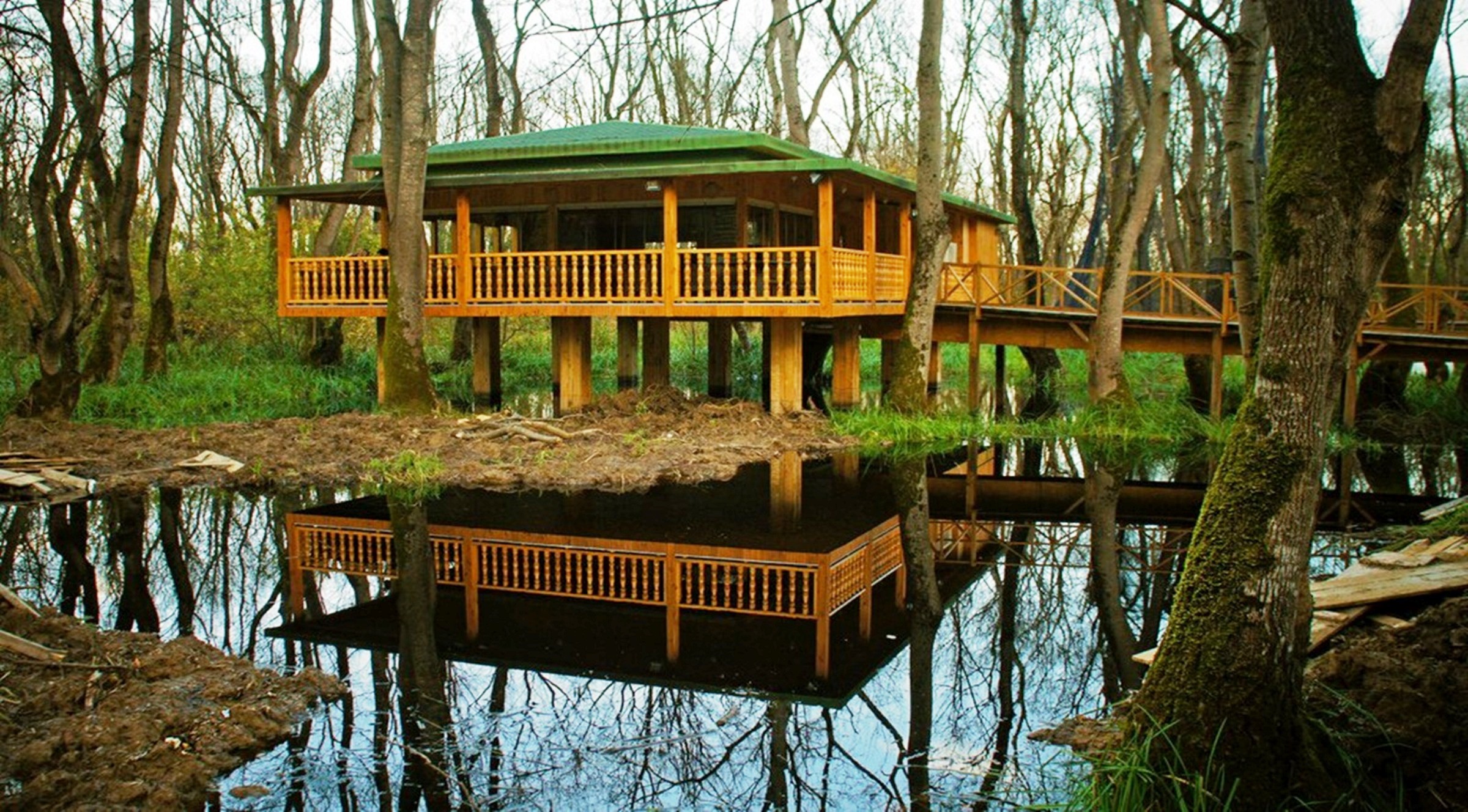 Orman Köylüsü Ekmeğini Topraktan Çıkartıyor (4)