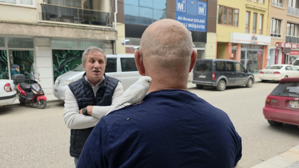 Sokaklarda Omzundaki Kuşuyla Geziyor (3)