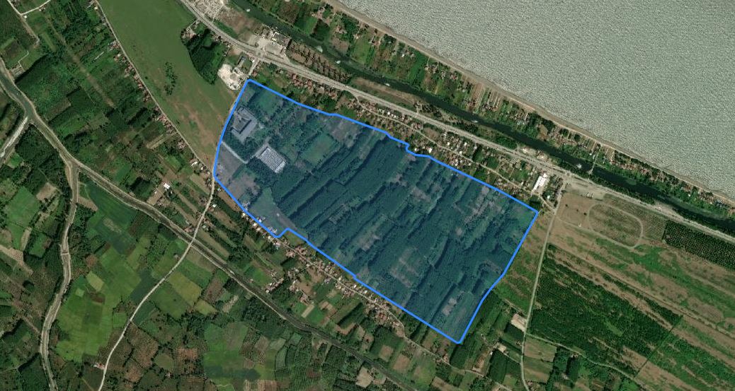 Whatsapp Image 2026 02 02 At 17.07.18