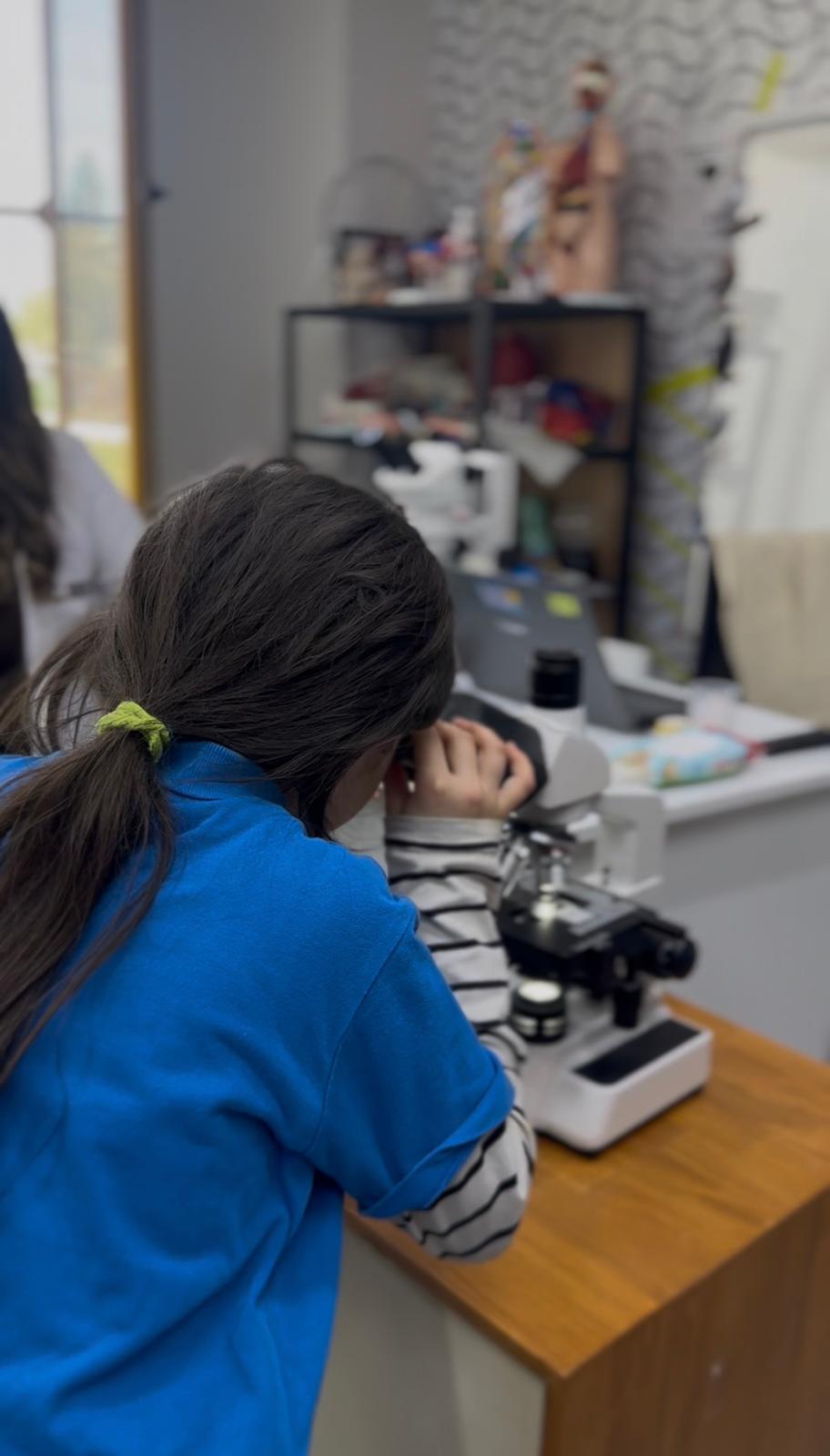 Whatsapp Image 2026 02 12 At 16.17.12