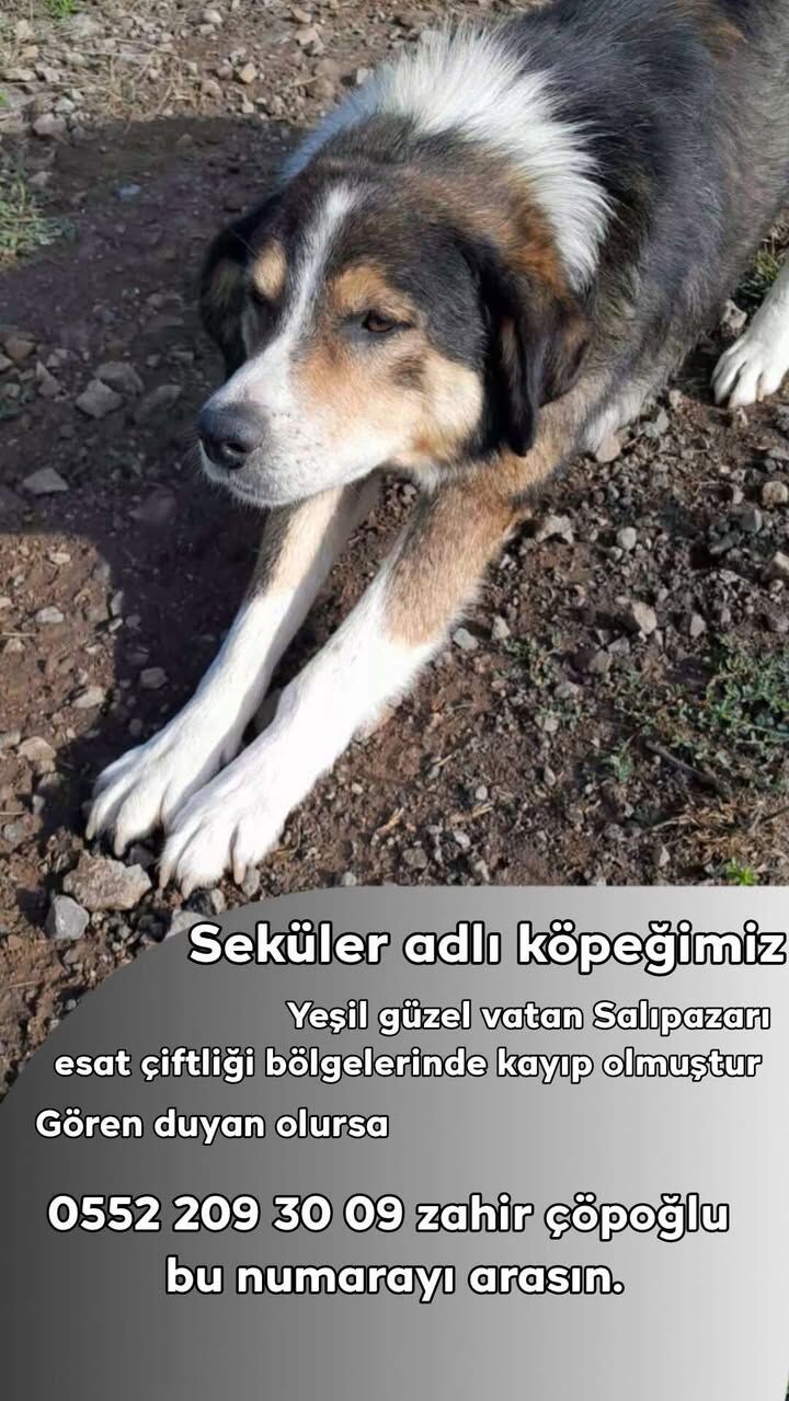 641839071 956092770263425 5776046160295626391 N