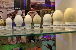 Samsun'da örnek eğitim projesi! "Her gelen veli şaşırıyor"