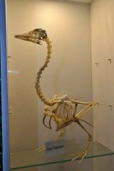 Samsun'da örnek eğitim projesi! "Her gelen veli şaşırıyor"