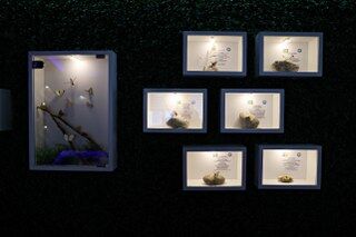 Samsun'da örnek eğitim projesi! "Her gelen veli şaşırıyor"