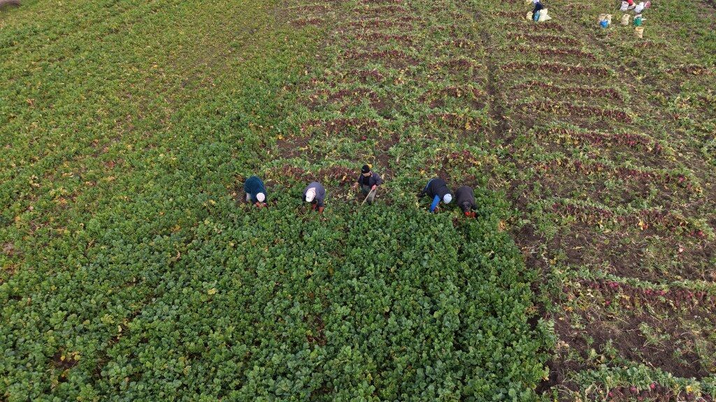 A A 20260304 40727961 40727955 S A M S U N U N A L A C A M I L C E S I N D E B E D E S T U R P U N U N H A S A D I S U R U Y O R 1024X576