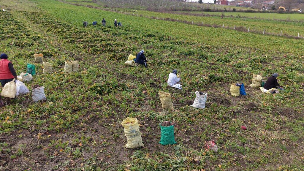 A A 20260304 40727961 40727956 S A M S U N U N A L A C A M I L C E S I N D E B E D E S T U R P U N U N H A S A D I S U R U Y O R 1024X576