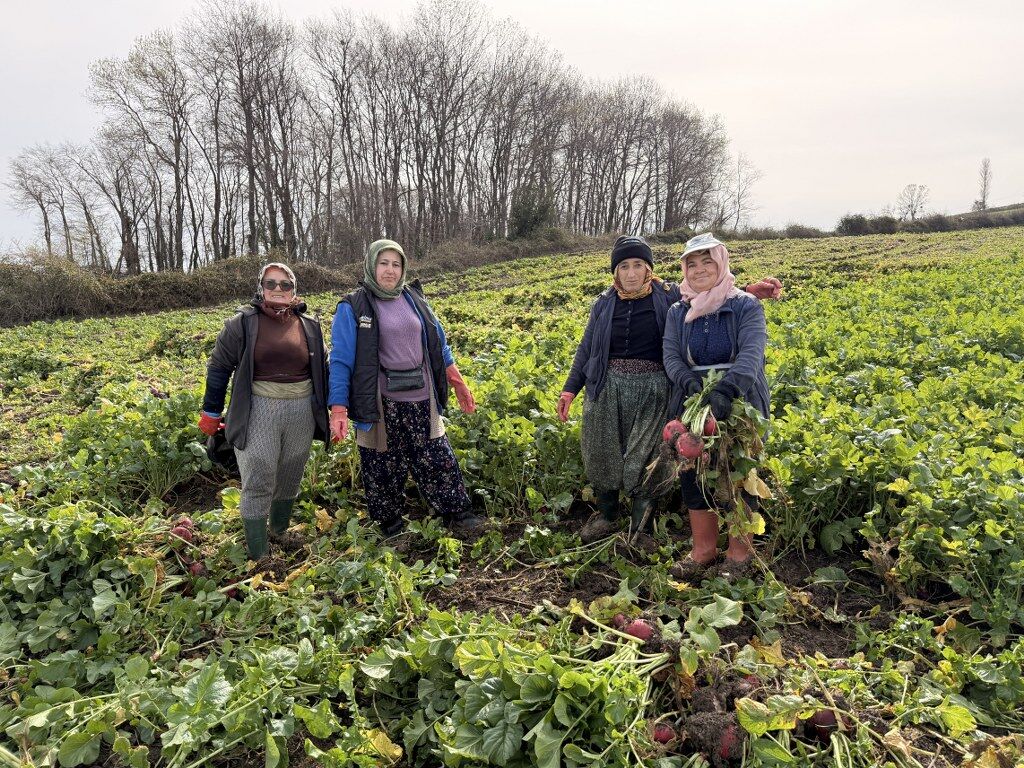 A A 20260304 40727961 40727959 S A M S U N U N A L A C A M I L C E S I N D E B E D E S T U R P U N U N H A S A D I S U R U Y O R 1024X768