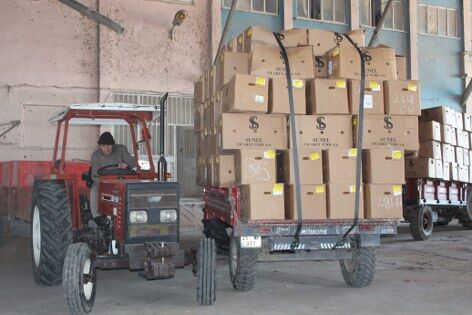 Bafra tütünü için dikkat çeken rakam! 