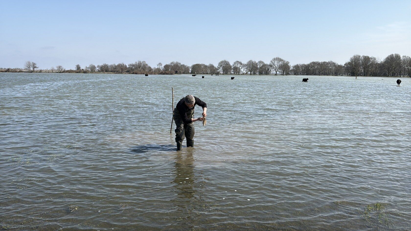 A A 20260315 40828930 40828929 T I B B I S U L U K A V C I L I G I I C I N S O G U K S U Y U N I C I N D E S A A T L E R G E C I R I Y O R 1680X945