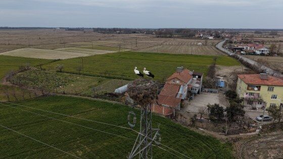 Samsun’da baharın habercileri geldi!