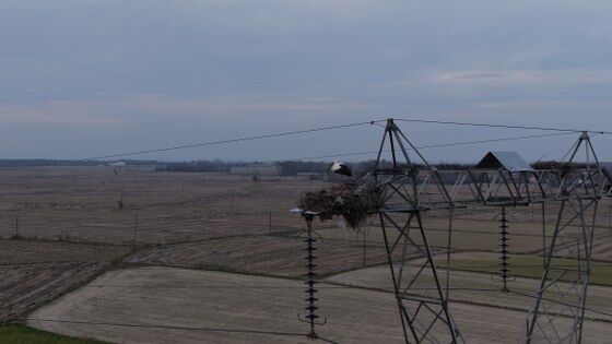 Samsun’da baharın habercileri geldi!