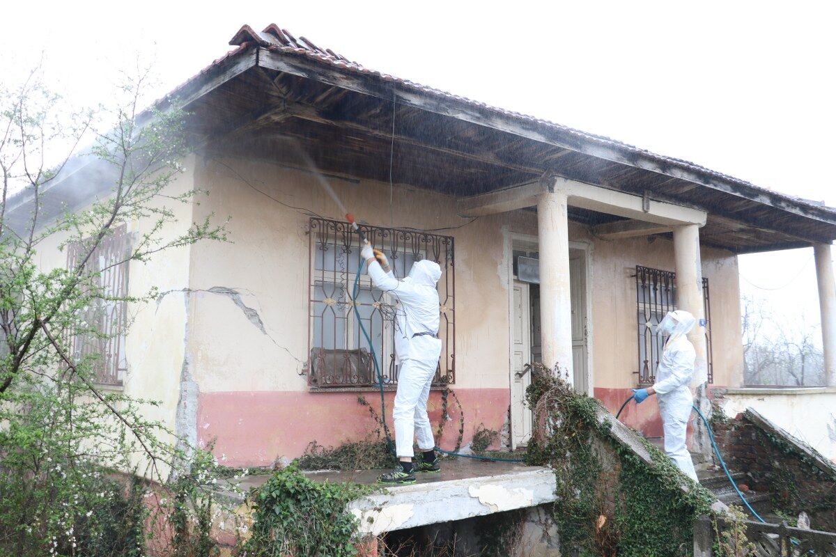 samsun haber: Samsun’da tarımı tehdit eden kabus için ilaçlama başladı