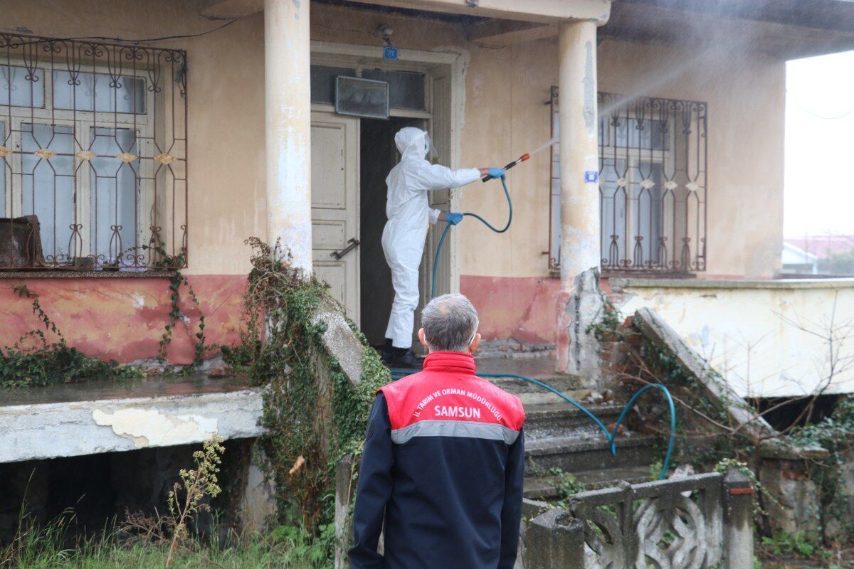 samsun haber: Samsun’da tarımı tehdit eden kabus için ilaçlama başladı