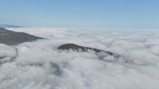 samsun haber: Karadeniz kayboldu! Sis denizi şaşırttı