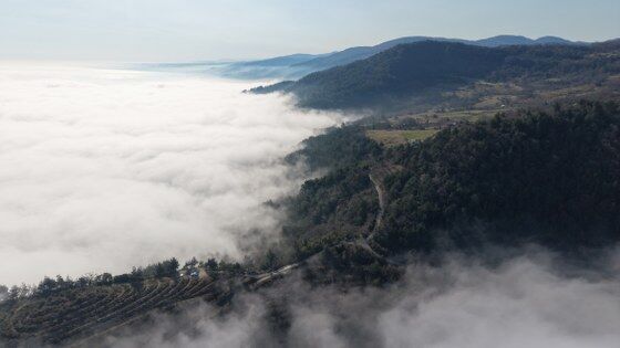 samsun haber: Karadeniz kayboldu! Sis denizi şaşırttı