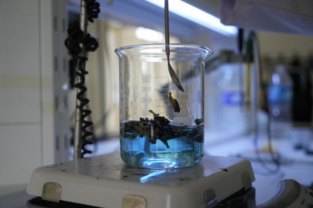 A W653386 02 1024X683