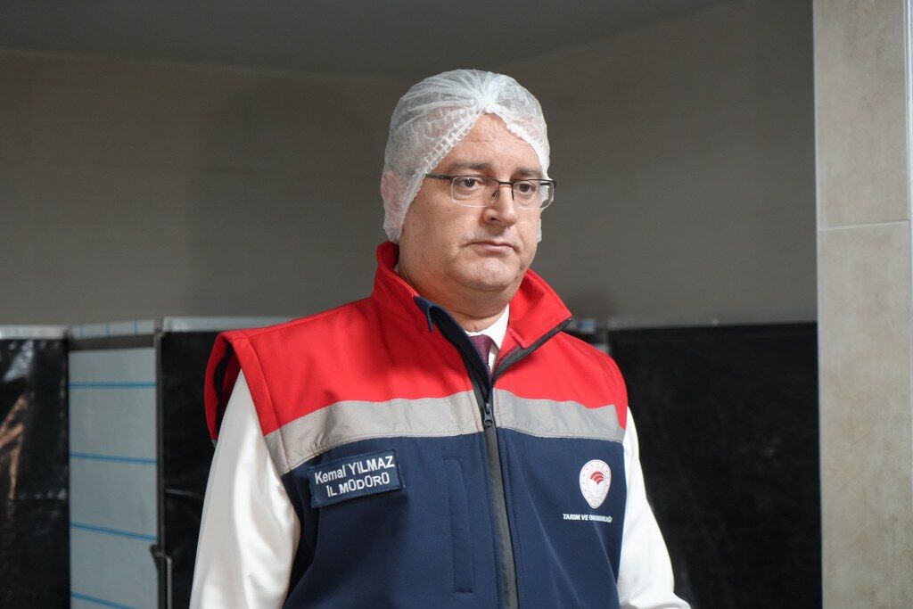 A W653641 05 1024X683