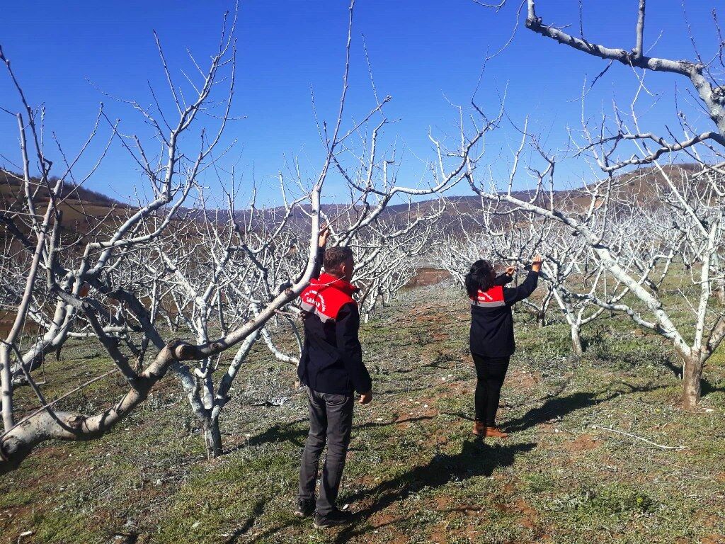 A W656390 01 1024X768