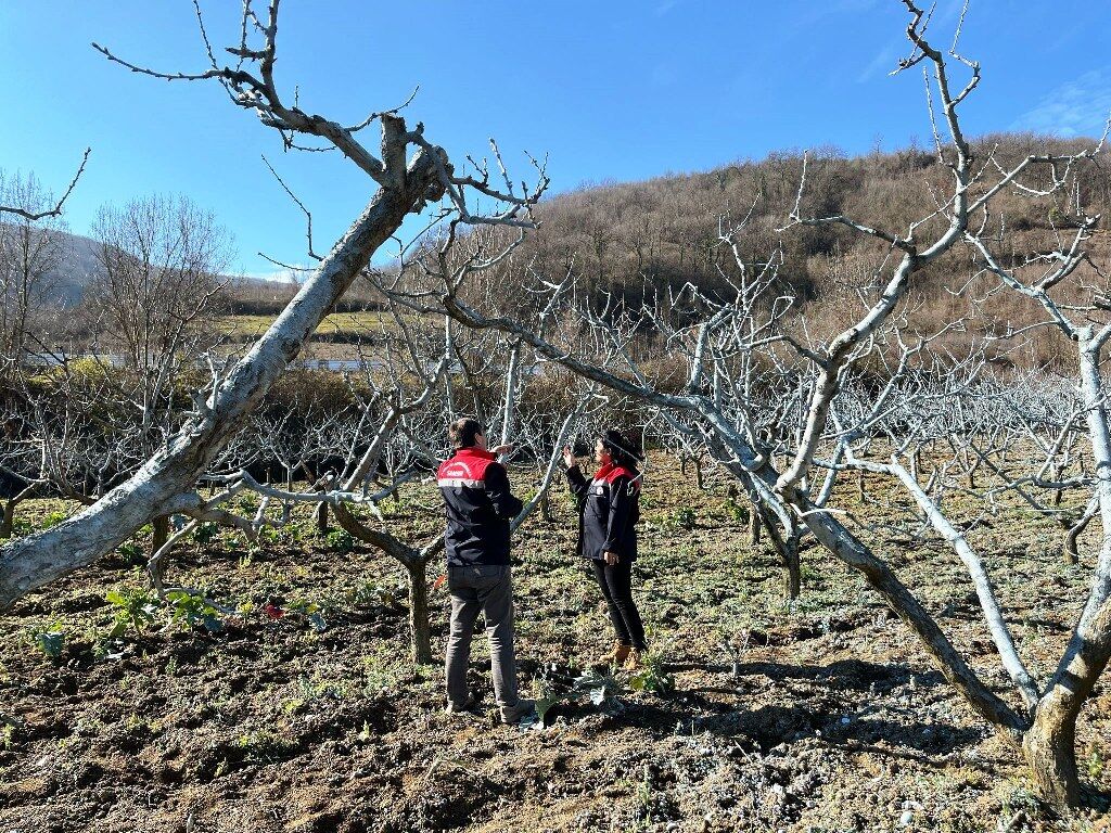 A W656390 02 1024X768