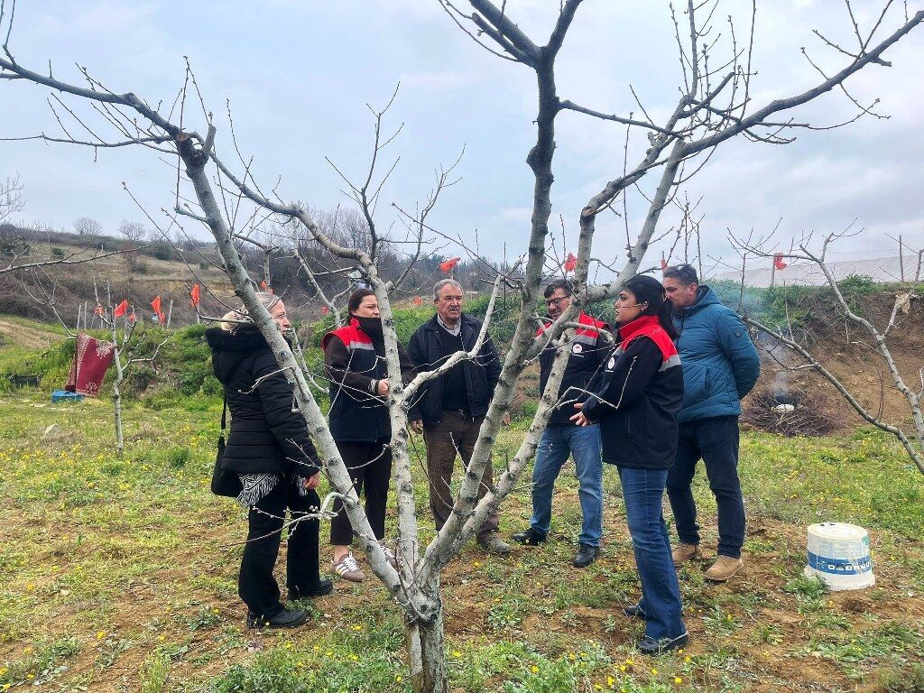 A W656390 03 1024X768