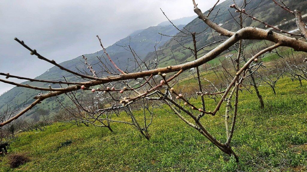 A W656390 04 1024X576