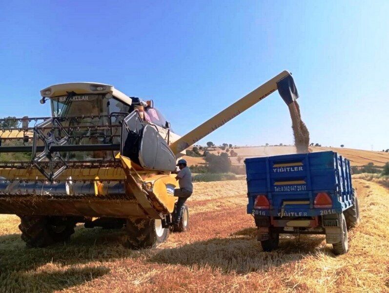 Türkiye’nin yem deposu Samsun! Üretimde zirvede