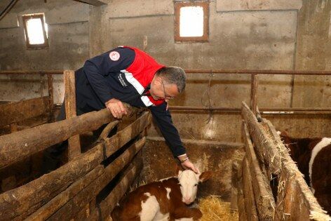 Samsun'da hayvancılıkta önemli adım! 