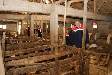 Samsun'da hayvancılıkta önemli adım! 