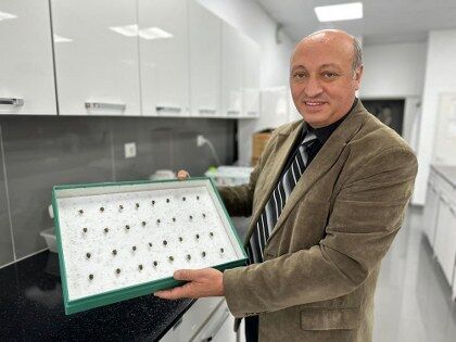 Samsun'da profesör anlattı: Bu böcekler cinayetleri çözüyor 