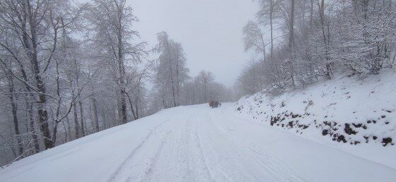 Samsun’da kar eğlencesi! Bidonla kayanlar görenleri şaşırttı