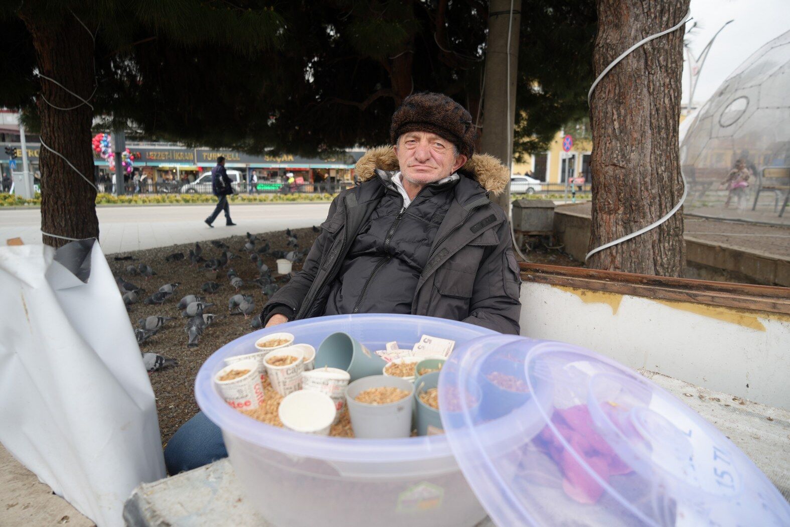 A W666547 03 1575X1050