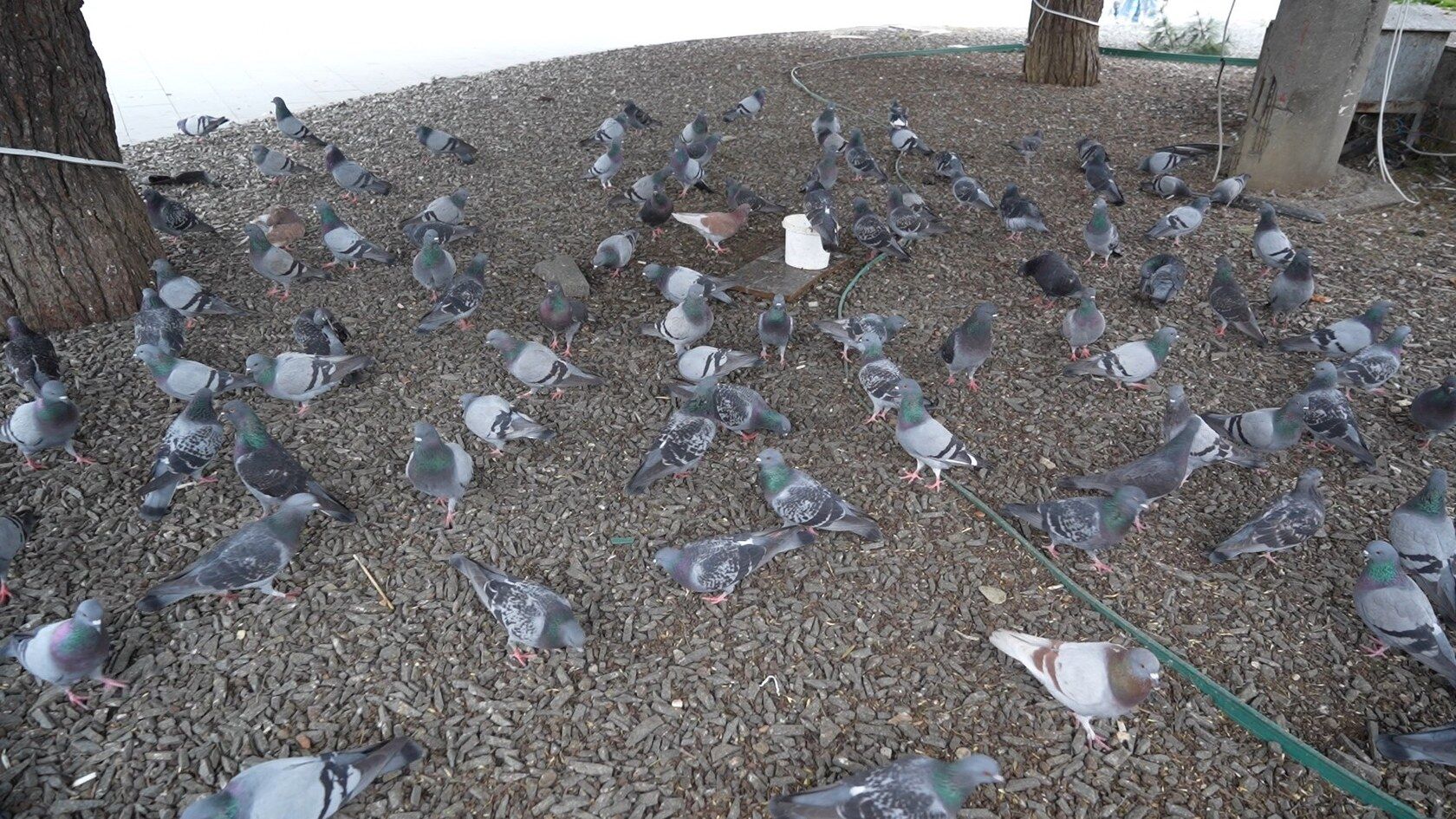 A W666547 05 1680X945