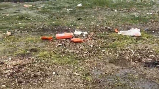 Atakum sahilinde çöp isyanı! Mahalleli tepkili