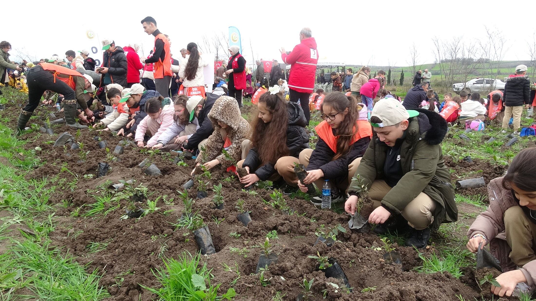 Bafra'da minik öğrenciler, Orman Haftası kapsamında düzenlenen etkinlikte fidanları toprakla buluşturarak doğaya can verdi. 
