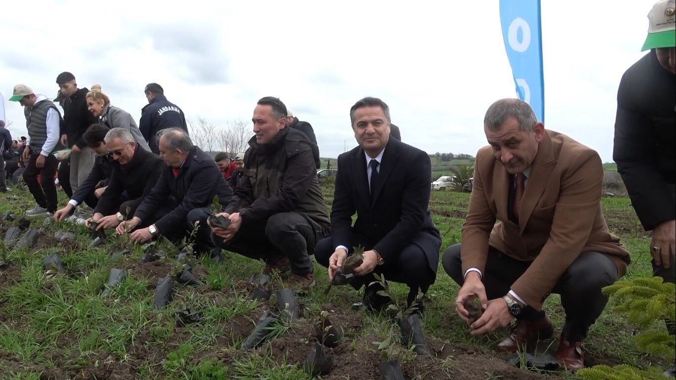 Bafra'da minik öğrenciler, Orman Haftası kapsamında düzenlenen etkinlikte fidanları toprakla buluşturarak doğaya can verdi. 
