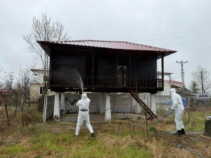 samsun haber: Samsun'da havalar ısındı, tehlike arttı! Kritik dönem başladı 