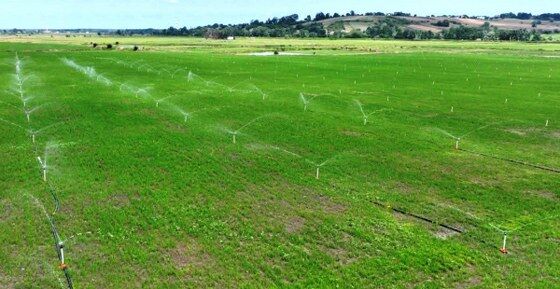 Samsun’da 16 bin m² alan yok oldu