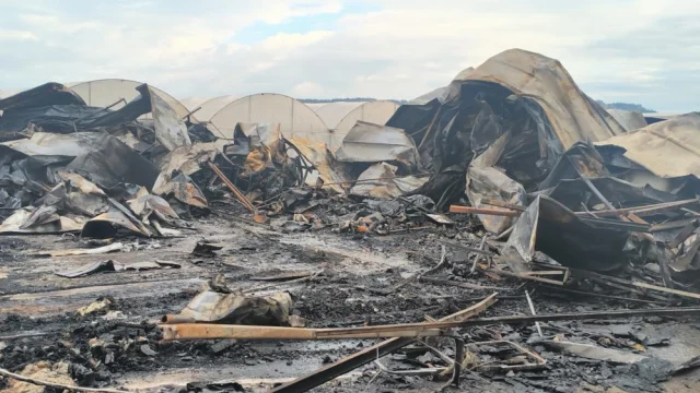 Antalya Da Yangin Faciasi 5 I Cocuk 6 Olu 19673608 4610 M