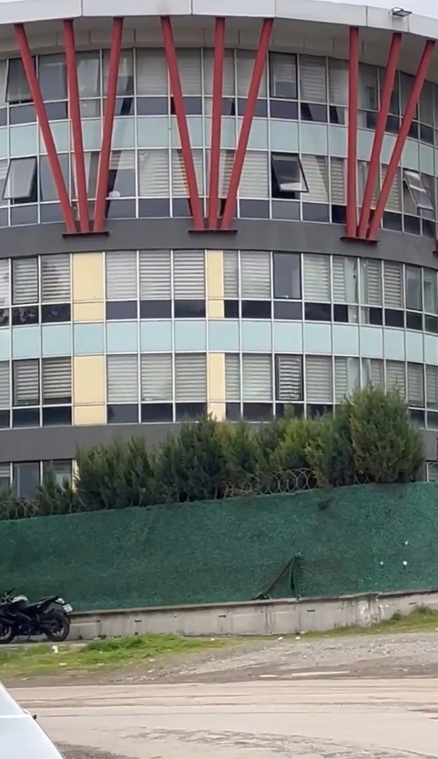 samsun haber: Samsun’da Turgut Özal Yurdu çevresinde başıboş köpek kabusu