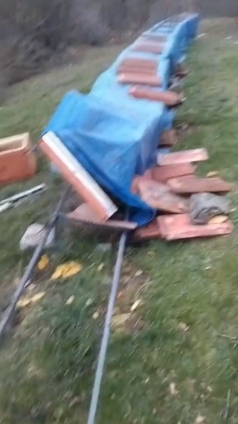 Samsun'da gece yarısı ayı şoku!