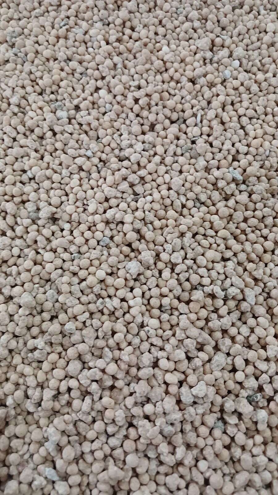 Whatsapp Image 2026 03 11 At 12.55.00 (1)