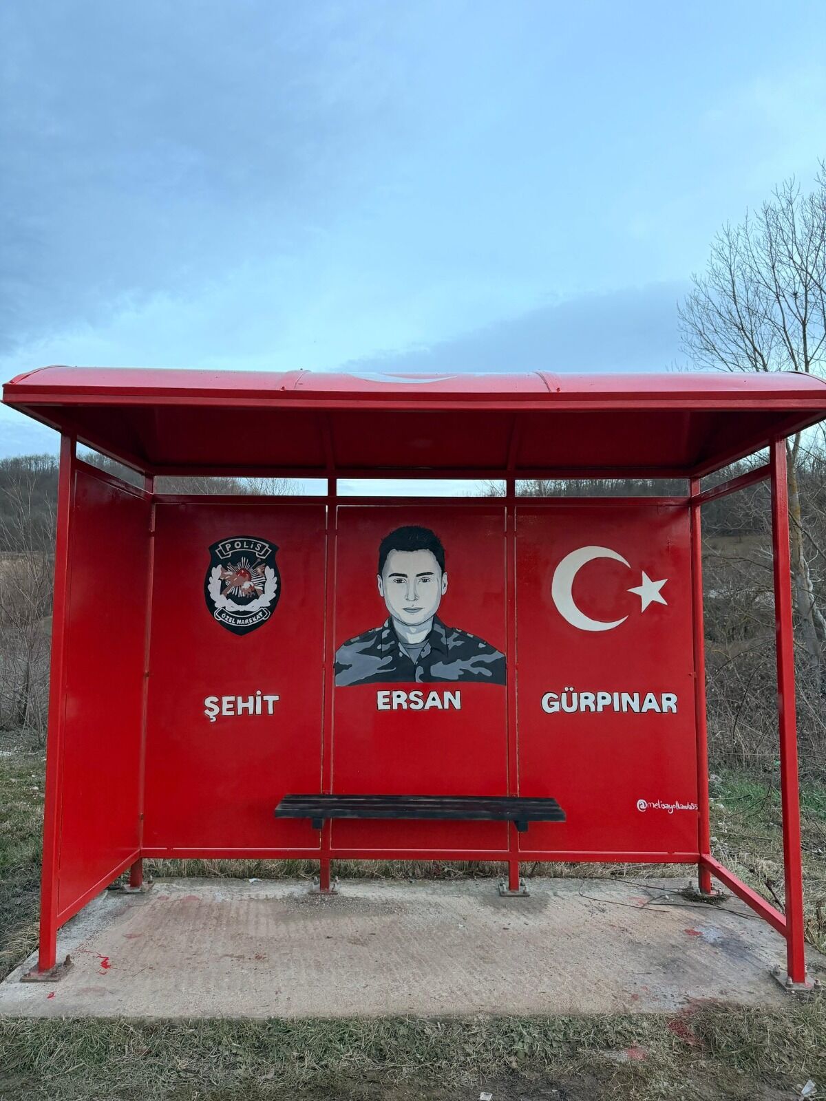 Samsun'da fırçayla çizilen vefa! MHP'li İlyas Topsakal'dan övgü 