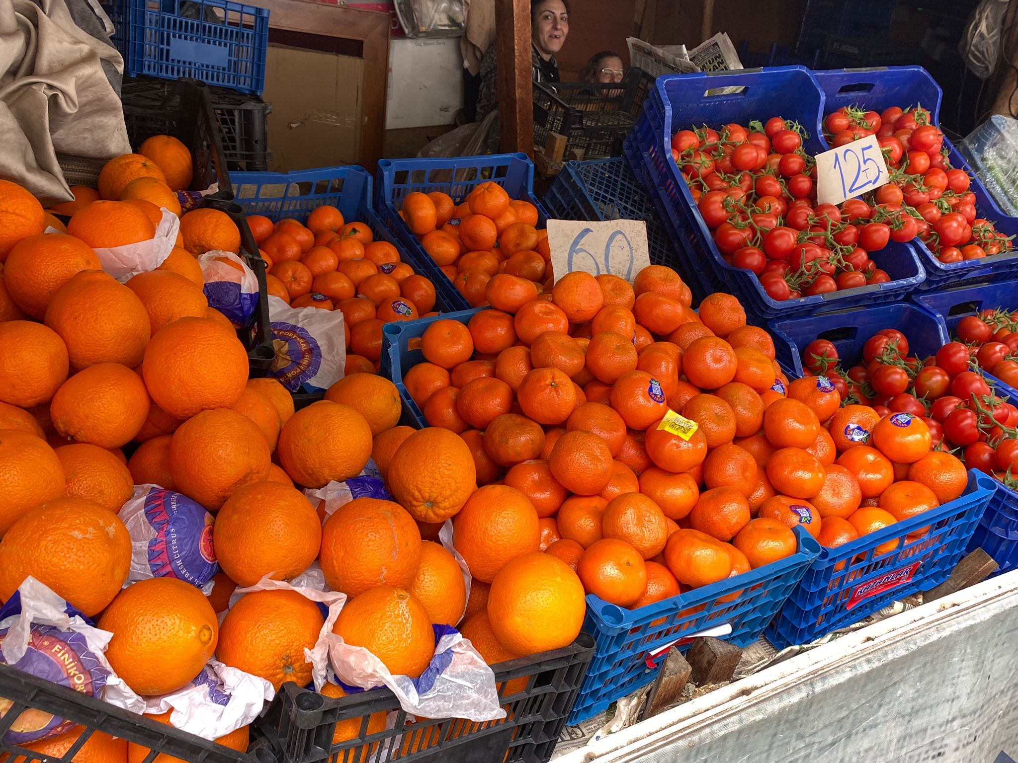 Whatsapp Image 2026 03 24 At 15.13.55 (1)