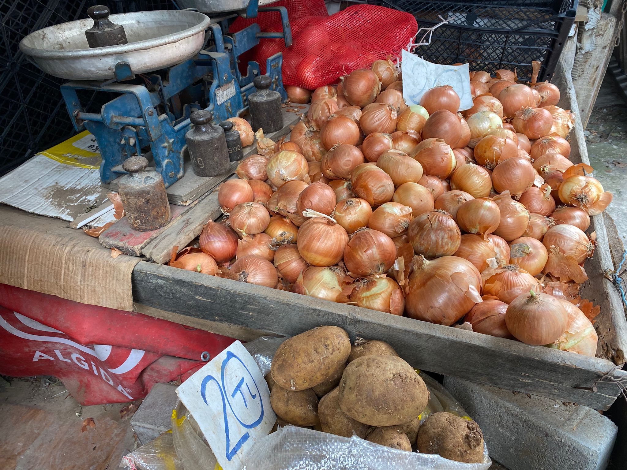 Whatsapp Image 2026 03 24 At 15.13.56