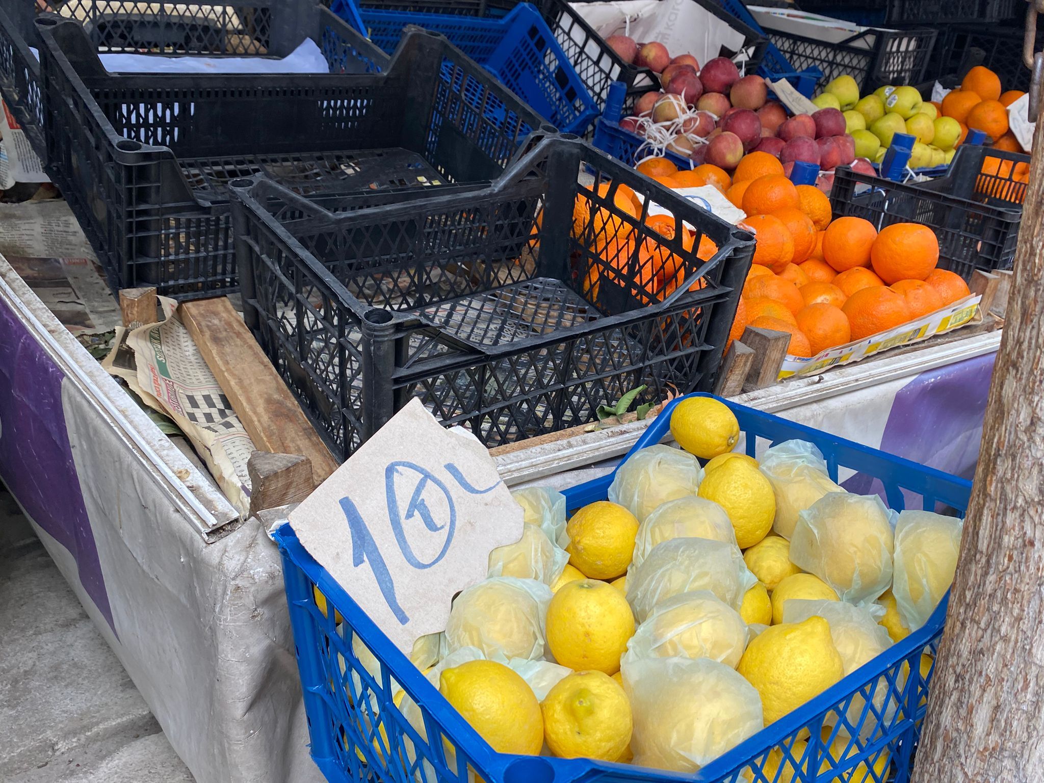 Whatsapp Image 2026 03 24 At 15.13.58