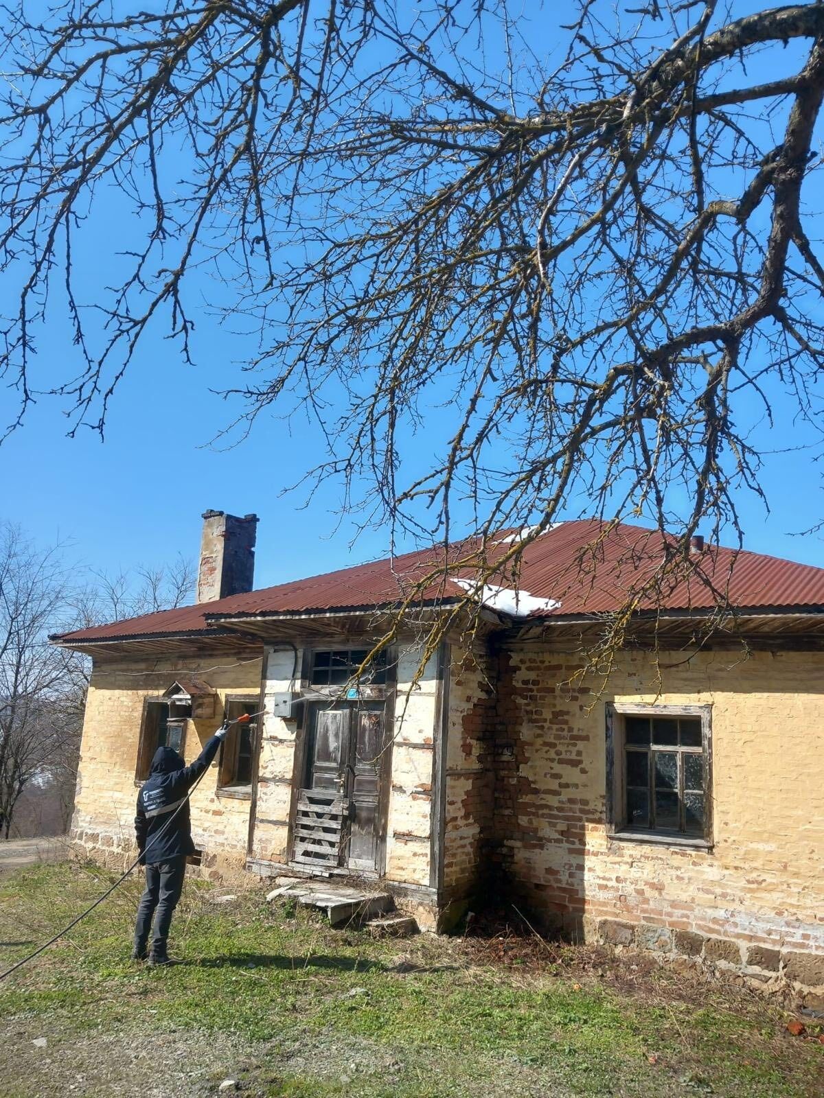 Tarlalarda büyük tehlike! Tekkeköy'de ekipler sahada