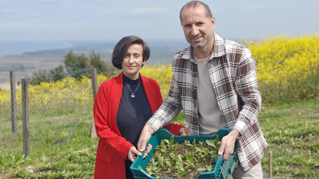 samsun haber: Samsun’da ak zambak üretimi büyüyor: Hedef ihracat